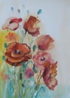 Akwarela Sabina Salamon 25x36 Maki kwiaty