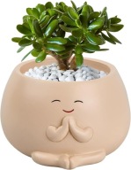 DONICZKA Z UŚMIECHEM NA SUKULENTY ŻYWICA BEŻOWA DO DOMU I OGRODU