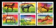Tanzania / 1701-1706 ( Fauna - Konie ) 1993 r.