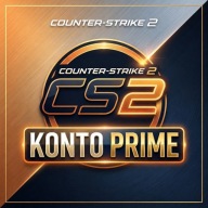 KONTO CS2 | STATUS PRIME | GOTOWE DO GRY