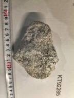 Skamieniały osad z dna dawnego oceanu