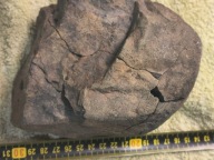 Minerały, meteoryty, chondryt