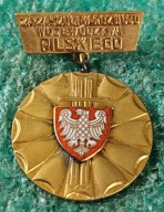 ODZNAKA ZA ZASŁUGI W ROZWOJU WOJ. PILSKIEGO - WOJ. RADA NARODOWA W PILE