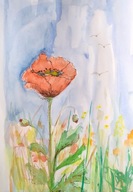 Akwarela, obraz, obrazek, mak pejzaż