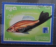 Ryby (kas) - luzak - do uzupełnień 13/2