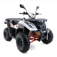 Quad KAYO AU300 T3B Homologacja Off-Road ATV FV23%