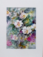 Akwarela pt. Dzika róża 13