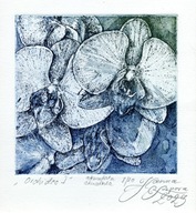 "Orchidee I" akwaforta, akwatinta, 10x10/16 x 16 cm
