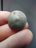 Guzik groszek Wermacht Wehrmacht III Rzesza ORYGINAŁ