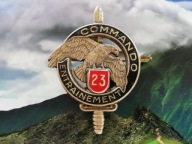 ODZNAKA WOJSKOWA -FRANCJA