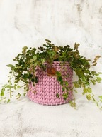 MAMAJASTUDIO Kosz do przechowywania,koszyk ze sznurka bawełnianego 17x14cm.