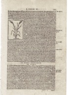 Cosmographiae, Münster, 1572, 1 karta, s. 1201-1202