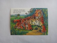 Rosja 1992, Tygrysy, zwierzęta, dzikie koty, fauna