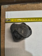 Skamieliny , koralowce , minerały, obsydian