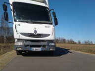 Renault Midlum Kntener + chłodnia+ winda