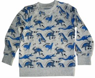 Bluza w dinozaury r.140 C&A
