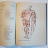 Meyer KUNSTLERANATOMIE - ANATOMIA DLA ARTYSTÓW PLASTYKÓW / FOTOGRAFÓW itp.