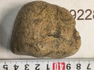 Skamieliny koralowce minerały