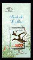 Indonezja / Mini arkusz 1904 ( Fauna - Ptaki - Kaczki ) 1998 r. / czyste
