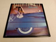 VINYL 12" / BILLY THE KID / Sworn To Fun