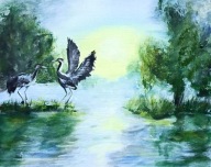 Obraz żurawie prezent 30x24 / 75 Patryk Mit