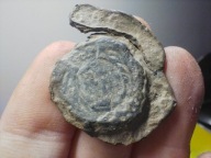 Stara plomba Stanisław Poniatowski SAP ? XVIII wiek Herb królewski ?