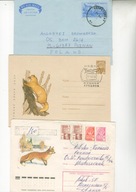 Ssaki-ciekawe koperty ilustrowane