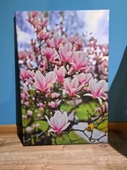 Obraz na płótnie Fotoobraz magnolie 60x40cm