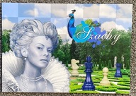 Folder Szachy Banknot Testowy