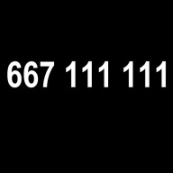 ZŁOTY NUMER, PLATYNOWY NUMER 667 111 111