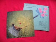 ALIBABKI kapitańskie tango ARP LIFE adolfino POCZTÓWKA DŹWIĘKOWA R-0462-II