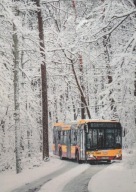 ŁÓDŹ - ARTURÓWEK - AUTOBUS SOLARIS - ZIMA