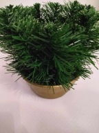 DONICZKA CEMENCIAK PODKŁAD DO STROIKA KOMPOZYCJA NA CMENTARZ OKRĄGŁA