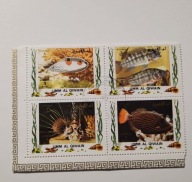 Umm ale Qiwain. Ryby..04369p