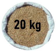 Żyto na poplon - czyste i bez GLIFOSATU od Rolnika (zbiór2025) 20kg