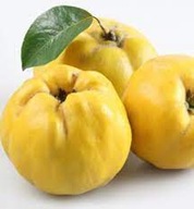 PIGWA JABŁKOWA LESCOVAC – aromatyczne owoce do przetworów i soków