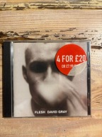 Flesh David Gray CD