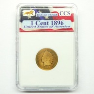 1 cent 1896 USA Indianin w plastikowym slabie Indian Head