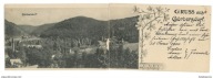 SOKOŁOWSKO Görbersdorf 1900r. PODWÓJNA długość 283 mm a25