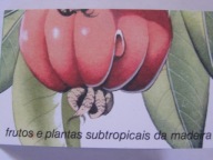 Portugalia - Madera - owoce tropikalne - zeszycik znaczkowy - Mi. MH-11 **