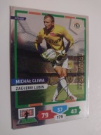 Karta panini autograf Zagłębie Lubin sezon 13/14 Michał Gliwa Bramkarze