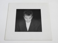 Peter Gabriel – Shaking The Tree (Twelve Golden Greats) - Virgin EUR