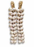 Czosnek polski Jarus warkocz czosnku - naturalna dekoracja.