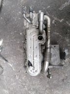 KOLEKTOR SSĄCY CHŁODNICA EGR 038131513AD GOLF PLUS