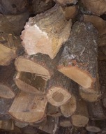 Drewno Kominkowe akacja dąb max długość 22 cm