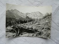 TATRY HALA GĄSIENICOWA