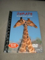 NATURAL KILLERS 33 ŻYRAFY Wyższe sfery Afryki - DVD folia nowy