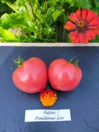 Pomidor Fatima pyszne malinowe serce nasiona kolekcjonerskie