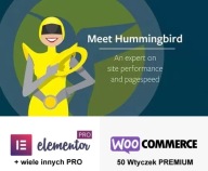 Hummingbird Pro. Elementor. Woocommerce. WordPress
