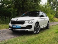 Skoda Kamiq 1.0 TSI, 1. Właściciel, Serwis ASO